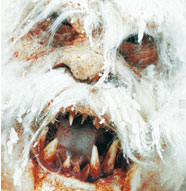 wampa