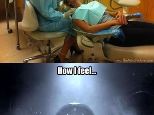 23 – Szczotko, szczotko, hej szczoteczko, o o o