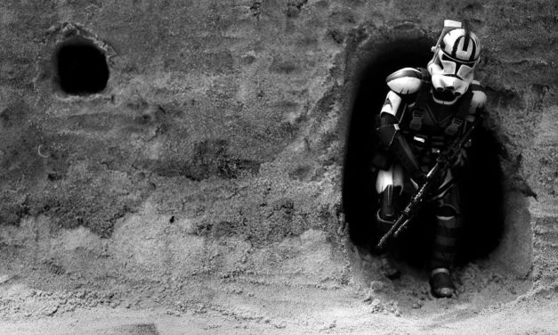 GALERIA – Matthew Callahan