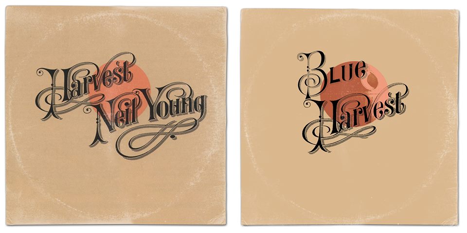 13331051_635473109938514_917855908753338236_n