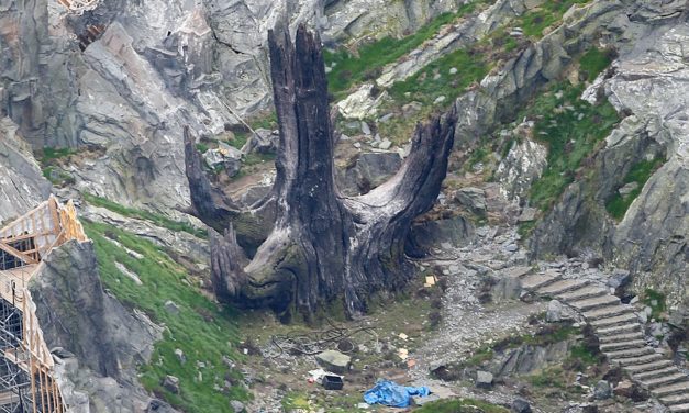 Znamy los „Drzewa Mocy” w The Last Jedi