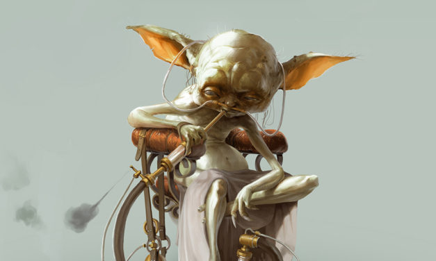 GALERIA – Bjorn Hurri