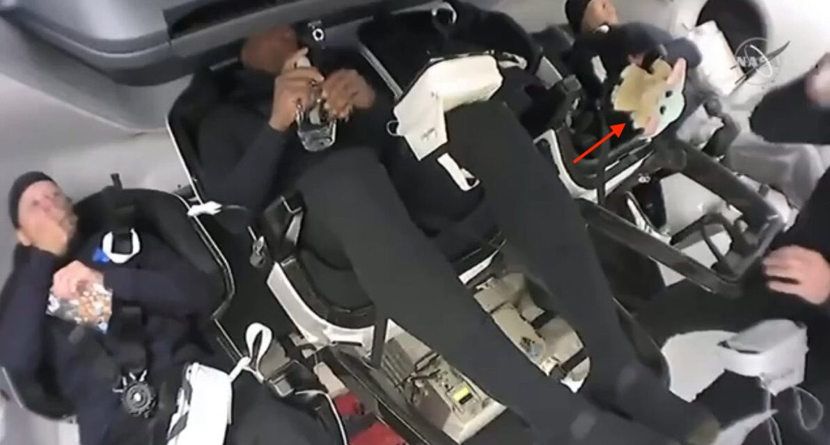 Baby Yoda rusza na podbój galaktyki!